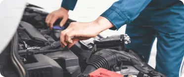 Inspección